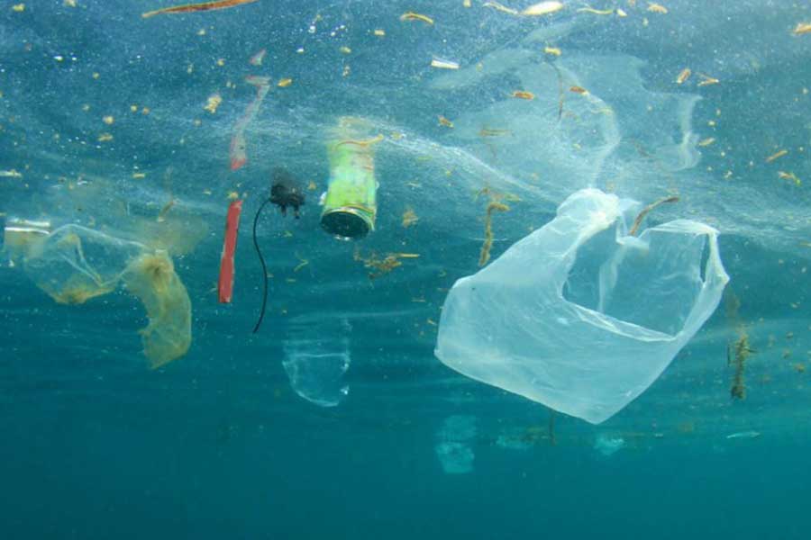 7 easy ways we can all help to clean up our oceans